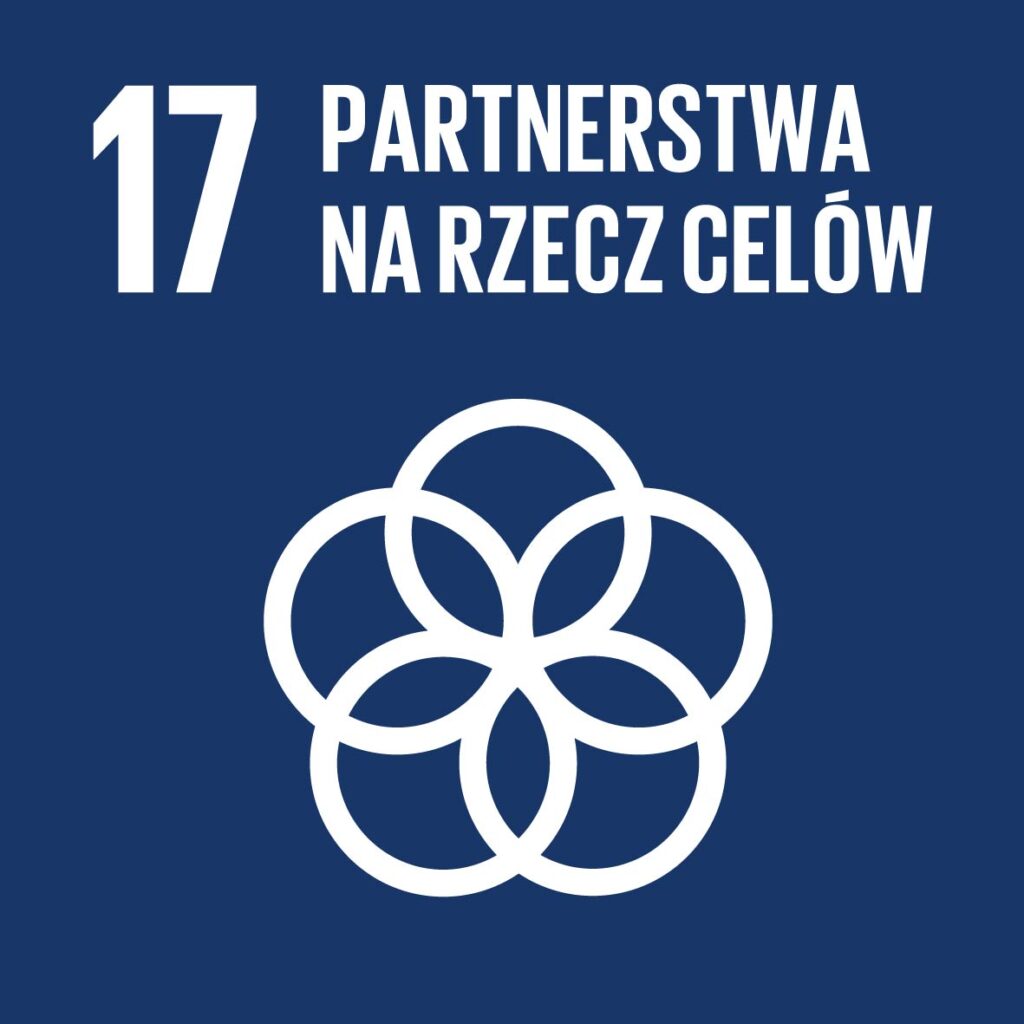 Cel 17 - Partnerstwo na rzecz celów